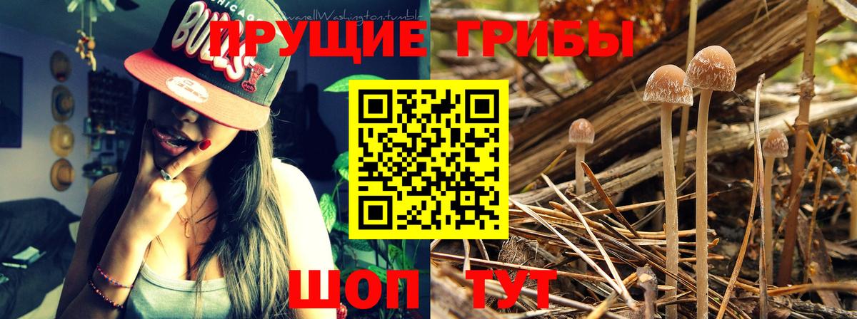 Галлюциногенные грибы Cubensis  Галлюциногенные грибы Psilocybe  Вход с VPN  Курчатов 