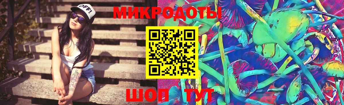 Галлюциногенные грибы Cubensis Курчатов