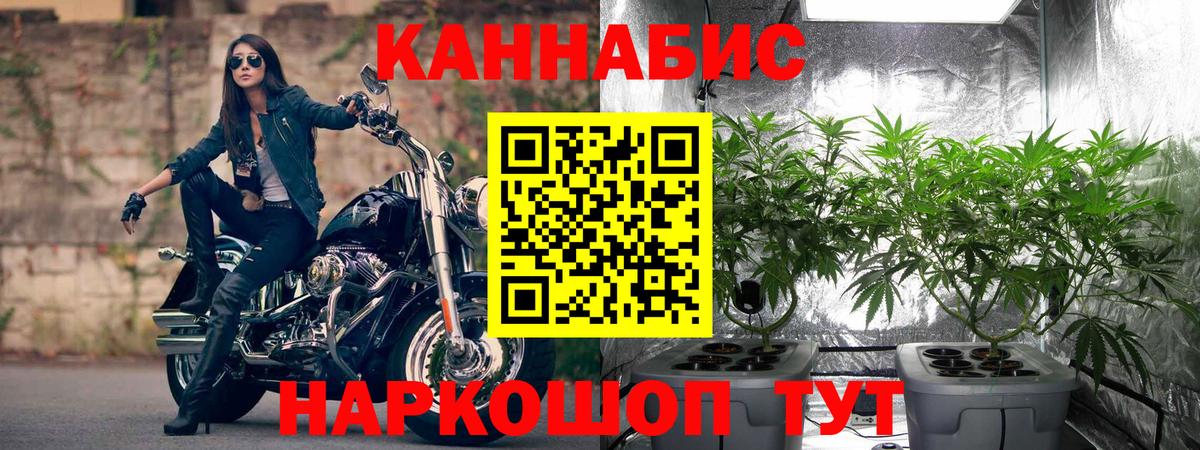 Каннабис гибрид  Вход с VPN  Конопля Ganja  Конопля тримм  Курчатов 